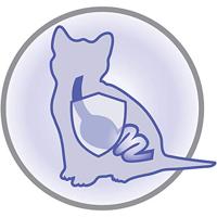 Pro Plan Kitten Healthy Start met kip kattenvoer 1,5 kg - thumbnail