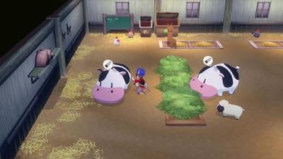 Story of Seasons: Grand Bazaar - Nintendo Switch 2-game Story of Seasons: Grand Bazaar - Nintendo Switch 2-game