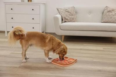 Puzzle/Gioco di apprendimento - KERBL - Gufo - 30 x 28 cm - Salmone e Marrone