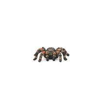 Schleich wild life tarantula 14829 - thumbnail