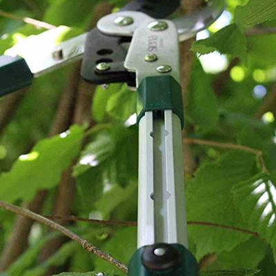Siena Garden CL2101 Takkenschaar Amboss