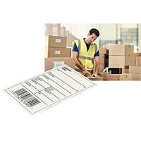 Etiket Leitz icon labelprint papier 61mmx22m wit - thumbnail