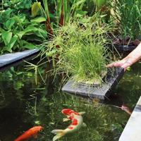 Drijvend planteneiland 35 x 35 cm vierkant Velda - thumbnail