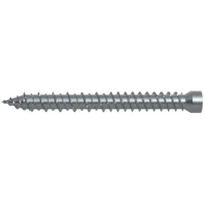 Fischer 532920 Windowframe screw 7.5 mm 252 mm T 100 stuk(s) Fischer 532920 Windowframe screw 7.5 mm 252 mm T 100 stuk(s)