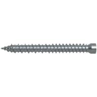 Fischer 532920 Windowframe screw 7.5 mm 252 mm T 100 stuk(s) - thumbnail