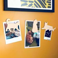 Houten Dierenmagneten (set Van 3) - Kat - thumbnail