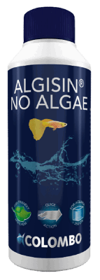 Algisin Aquarium 250 Ml aquaria Colombo - Colombo