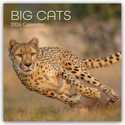 Big Cats Kalender 2026 Big Cats Kalender 2026