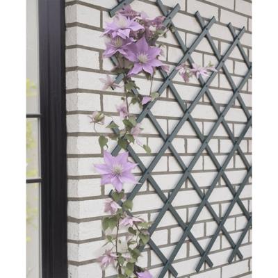 Nature tuinlatwerk 50x150 cm pvc antracietkleurig
