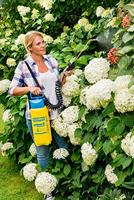 Gloria Haus und Garten 000091.0000 prima 5 Comfort Drukspuit 5 l Compressoraansluiting, Spiraalslang - thumbnail