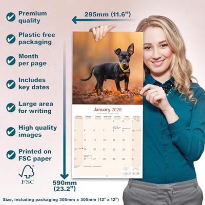 Miniature Pinscher Calendar 2026 Square Dog Breed Wall Calendar - 16 Month