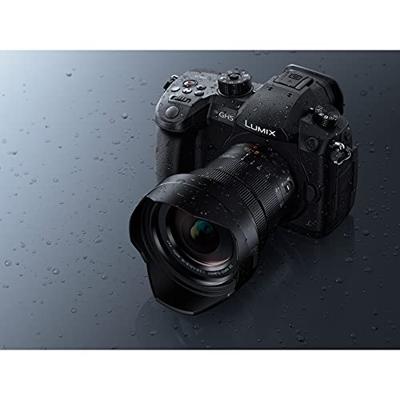 Panasonic Leica DG Vario-Elmarit 8-18mm F/2.8-4.0 ASPH - thumbnail