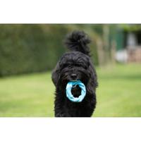 Jack and Vanilla Hondenspeelgoed - Rubber ring - Bacon - 14 cm - thumbnail