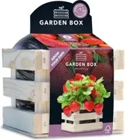 Baza Gardenbox kweekset reuze Aardbei 12x11x10cm - thumbnail