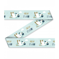 Markeerlint &apos;Hooray It`s A Boy&apos; - thumbnail