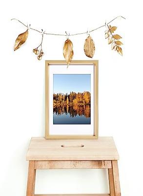 walther+ design ES030S Wissellijst Papierformaat: 20 x 30 cm Zilver walther+ design ES030S Wissellijst Papierformaat: 20 x 30 cm Zilver