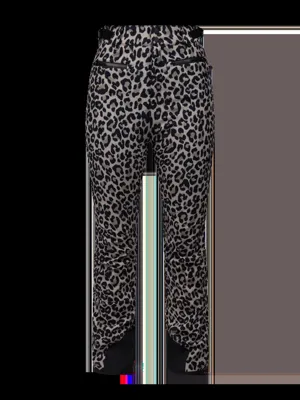 Brunotti Coldlake-Print Softshell Skibroek