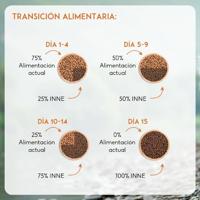 Nutrivet Inne Dog Energetic hondenvoer 2 x 12 kg - thumbnail