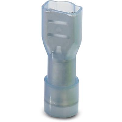 Phoenix Contact 3240539 Platte stekker (female) Insteekbreedte: 4.8 mm Insteekdikte: 0.5 mm 180 ° Volledig geïsoleerd Blauw 50 stuk(s)