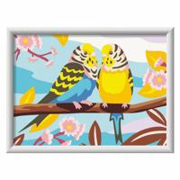 Ravensburger CreArt Schilderen op nummer mooie grasparkieten - thumbnail