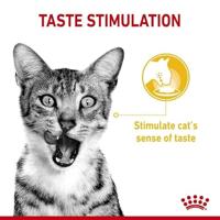 Royal Canin SENSORY Taste in Gravy natvoer kattenvoer zakjes 12x85g - thumbnail