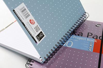 Projectboek pukka executive a4 lijn 4-g 200pag