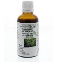 Cruydhof Scutellaria Laterifolia Hrb/Amerikaans Glidkruid Drupppels - thumbnail