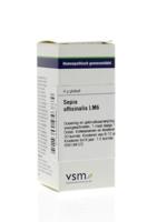 VSM Sepia officinalis LM6 (4 gr) - thumbnail