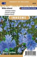 Inheemse Cichorium intybus Wilde Cichorei zaden - thumbnail