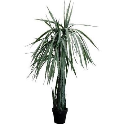 Kare Kunstplant Dragon Tree 155cm