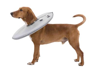 TRIXIE BESCHERMKRAAG SCHUIMRUBBER GRIJS S 30-34X19,5 CM TRIXIE BESCHERMKRAAG SCHUIMRUBBER GRIJS S 30-34X19,5 CM