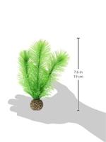 Aquariumtoebehoren mannetjesvaren set klein groen biOrb - Biorb - thumbnail