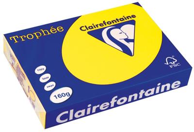 Clairefontaine Trophée Intens, gekleurd papier, A4, 160 g, 250 vel, zonnegeel