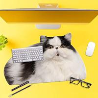 Mosterd Dikke Kat Mat - thumbnail