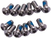 SRAM boutenset screw set silver - thumbnail