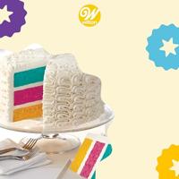 Color Right Performance Color System 8/Pkg- - thumbnail