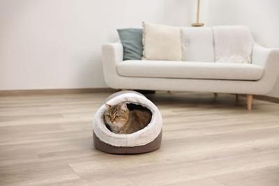 Iglo voor katten - KERBL - JANA - 37 x 45 x 30 cm - Bruin