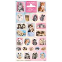Stickers Softies and Cuties Schattige Katjes - thumbnail