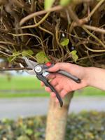 Talentools snoeischaar premium vbs 18 mm - thumbnail