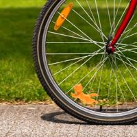 Kat voor in je fietswiel - thumbnail