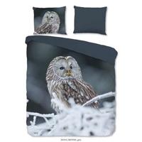 Good Morning Dekbedovertrek "uil" - Grijs - (240x200/220 cm) - Katoen - thumbnail