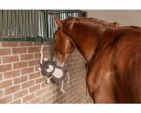 Paardenspeelgoed beer - thumbnail