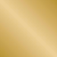 Sprayverf Pintyplus Tech Galvazinc G151 400 ml Goud - thumbnail