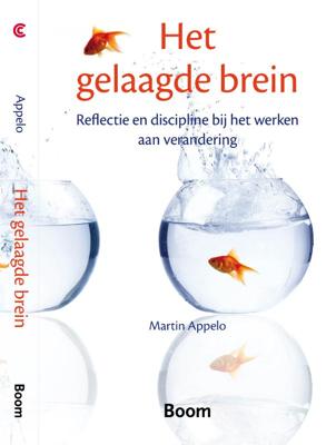 Het gelaagde brein (Paperback) Het gelaagde brein (Paperback)