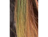 Namaki Kinder haarkleur - groen - thumbnail