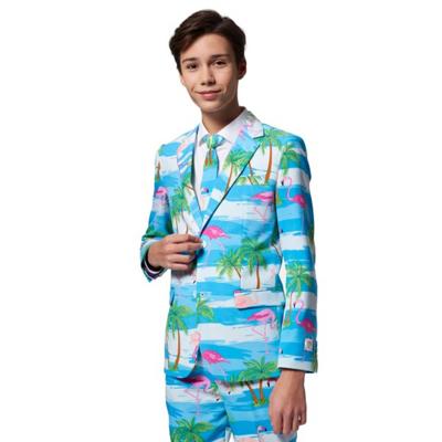Opposuits TEEN BOYS Flaminguy