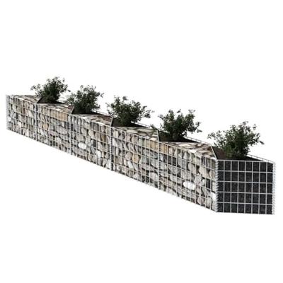 Gabion mand 300x30x50 cm gegalvaniseerd staal Gabion mand 300x30x50 cm gegalvaniseerd staal