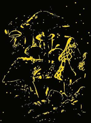 Ravensburger Puzzel moonlight mushrooms 500st