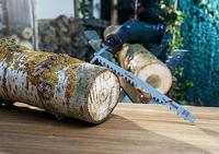 Bosch Accessories 2609256703 Reciprozaagblad HCS, S 1542 K Zaagbladlengte 240 mm 2 stuk(s) - thumbnail