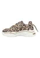 DWRS Jupiter Leopard Glimmer J5554C-91-8411 Beige-41 maat 41 - thumbnail
